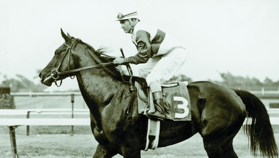 Ruffian The Queen Of Fillies